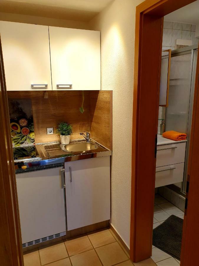 Wohlfuehl-Apartment Bad Kissingen II المظهر الخارجي الصورة
